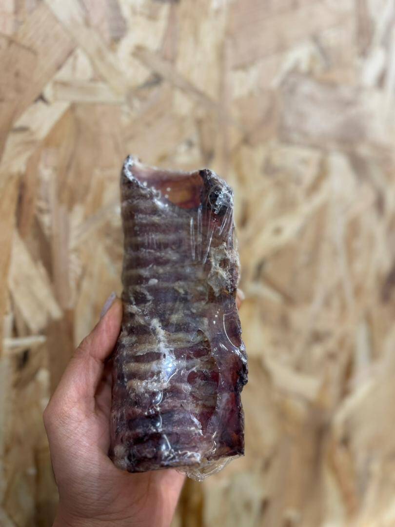 تشویقی سگ نای تک گوساله ماتیار